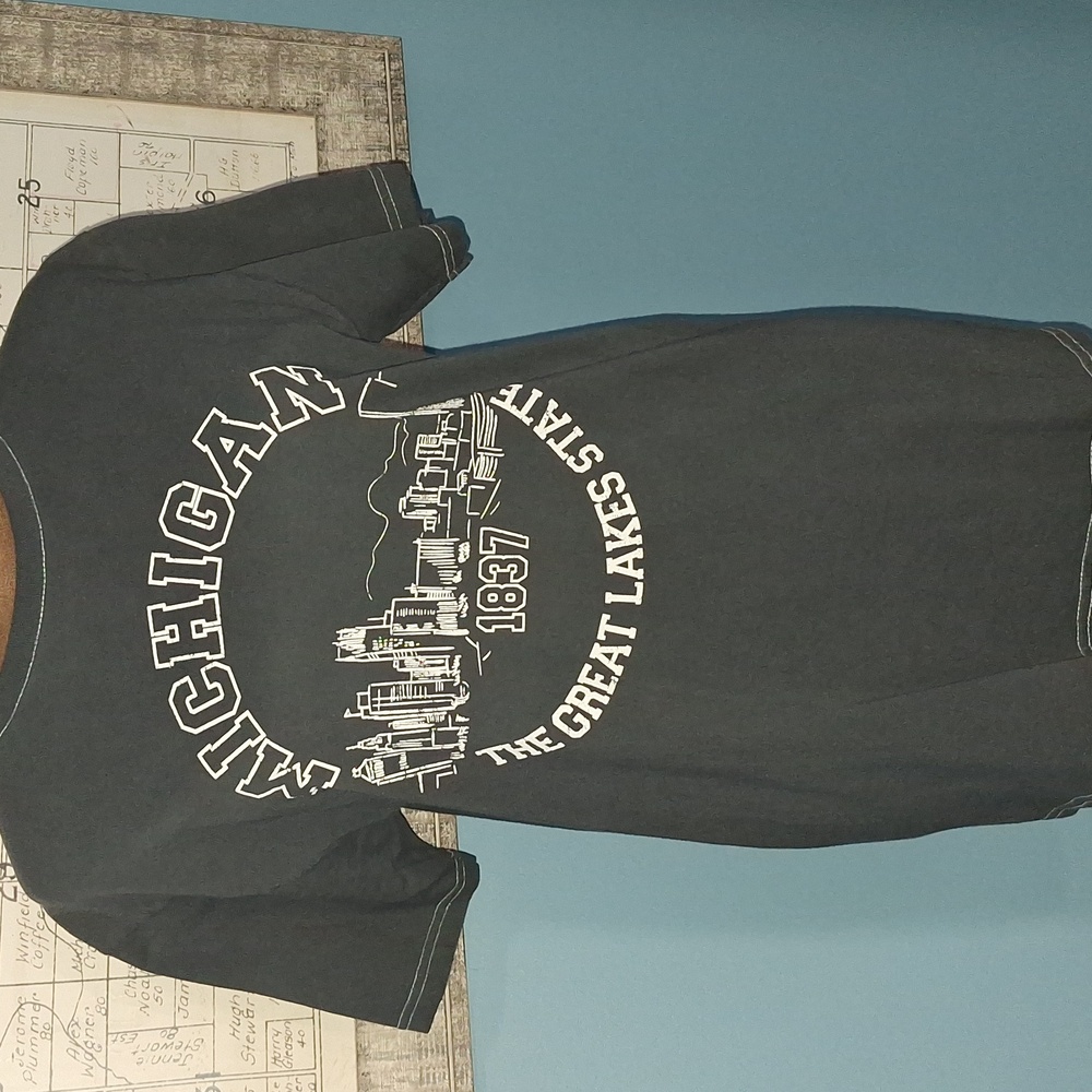 Charcoal Michigan Graphic T-Shirt